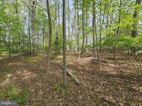 117 Kingsley Road SW, Vienna VA 22180