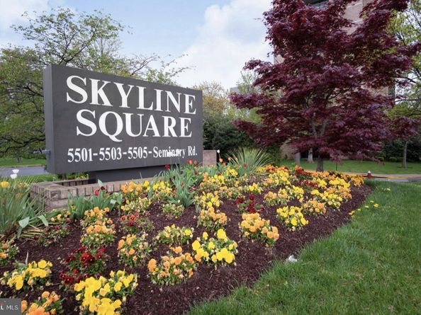 5501 Seminary Road 801S, Falls Church VA 22041