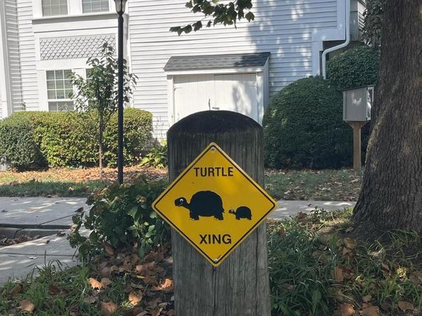 3345 Lakeside View Drive 77, Falls Church VA 22041