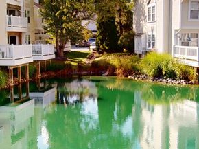 3345 Lakeside View Drive 77, Falls Church VA 22041