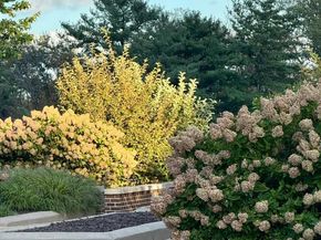 1800 Old Meadow Road 1121, Mclean VA 22102