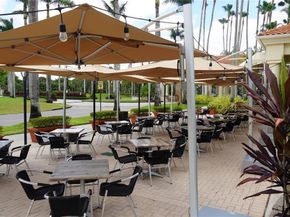 9816 NW 51 Te, Doral FL 33178