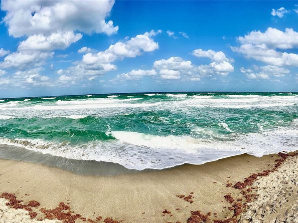 1000 NE 14th Ave 410, Hallandale Beach FL 33009