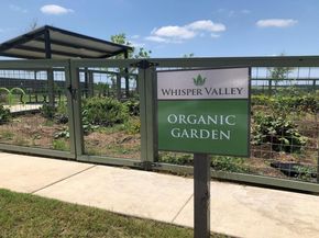 9513 Balmy LN, Manor TX 78653