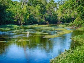 1011 Country Club RD, Georgetown TX 78628