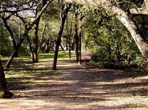 11522 Antigua DR, Austin TX 78759