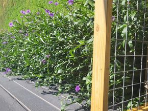 210 Fallwell ST, Liberty Hill TX 78642