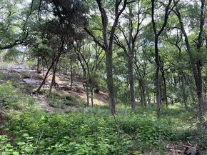 815 Riva Ridge DR, Leander TX 78641