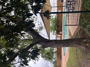 10616 Mellow Meadows DR 5B, Austin TX 78750