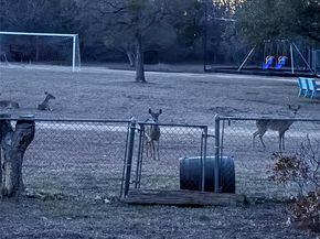 11712 Natrona DR, Austin TX 78759