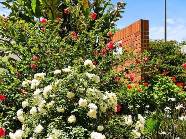 18620 Hatteras Street 223, Tarzana (los Angeles) CA 91356