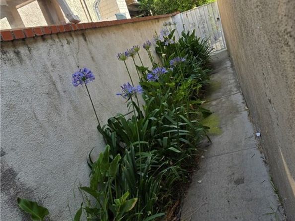 15901 Lassen Street, North Hills (los Angeles) CA 91343