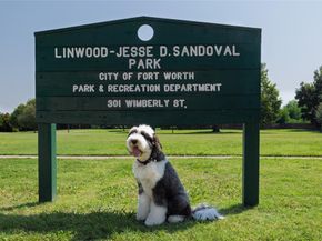 241  Wimberly Street , Fort Worth Texas 76107