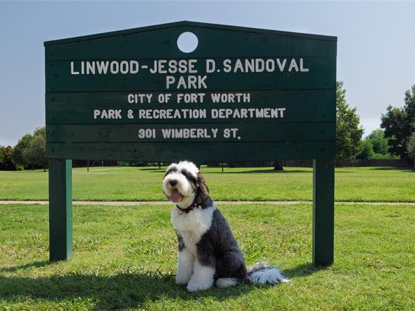 241  Wimberly Street , Fort Worth Texas 76107