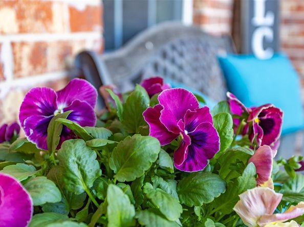 2200  High Meadow Drive , Denton Texas 76208