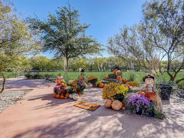 2113  Rubin Road , Fate Texas 75189