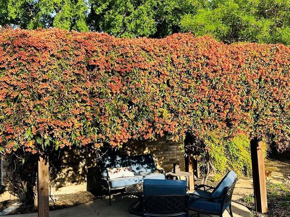 2005  Florence Drive , Plano Texas 75093