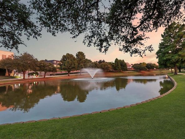 3342  Ricci Lane , Irving Texas 75062