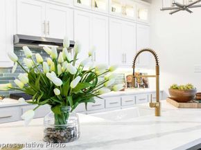 4411  Azalea Trail , Oak Point Texas 75068