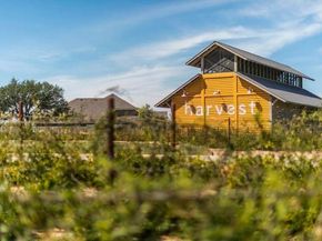 1525  Ginger Lane , Argyle Texas 76226