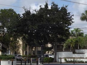 7675 NW 79th Ave 209, Tamarac FL 33321