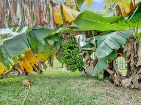 11181 NW 26th Dr, Coral Springs FL 33065