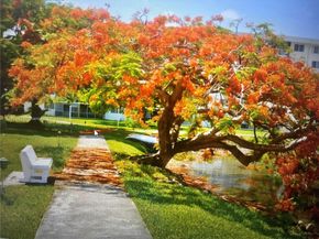 2910 Point East Dr M414, Aventura FL 33160