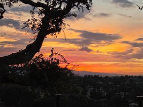 15860 Jackson Oaks Drive, Morgan Hill CA 95037