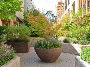 4388 El Camino Real 130, Los Altos CA 94022