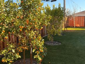 2121 Francis Avenue, Santa Clara CA 95051