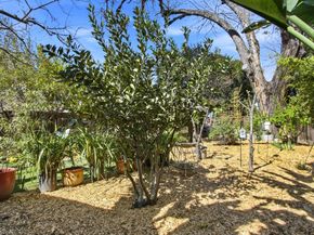 531 Brooks Avenue, San Jose CA 95125