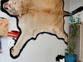 18940 Loree Avenue, Cupertino CA 95014