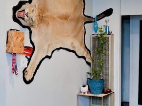 18940 Loree Avenue, Cupertino CA 95014