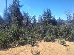 297 Robles Drive, Santa Cruz CA 95060