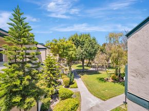 3011 Risdon Drive 8, Union City CA 94587