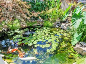 19087 Ravenswood Court, Morgan Hill CA 95037