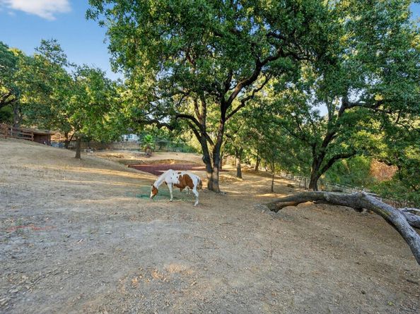 15098 Elm Park, Monte Sereno CA 95030