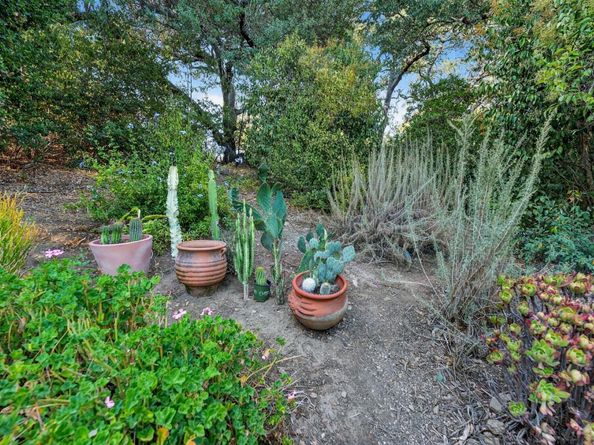 15098 Elm Park, Monte Sereno CA 95030