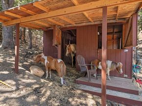 15098 Elm Park, Monte Sereno CA 95030