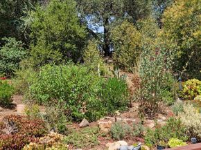 15098 Elm Park, Monte Sereno CA 95030