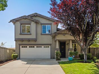 1096 Flowering Ash Drive