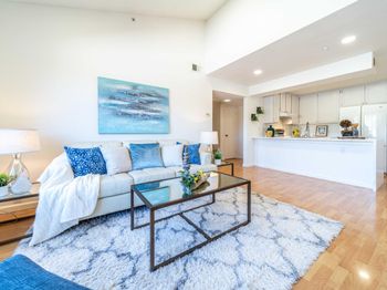 281 Hackamore Common