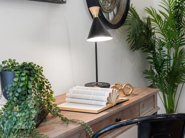 841 Willis Avenue, San Jose CA 95125