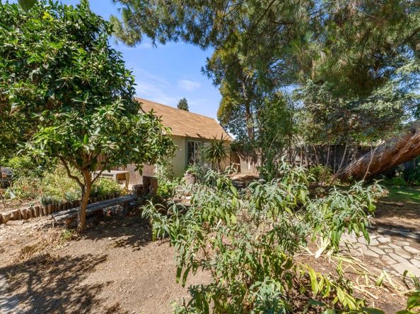 841 Willis Avenue, San Jose CA 95125