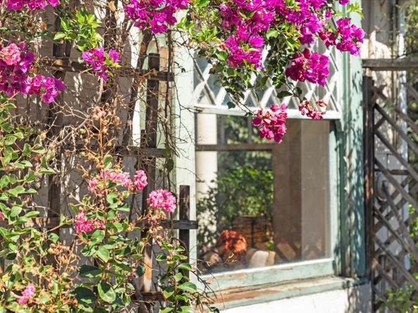 841 Willis Avenue, San Jose CA 95125