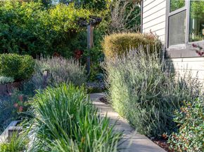 11265 Canyon Drive, San Jose CA 95127