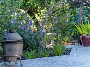 11265 Canyon Drive, San Jose CA 95127
