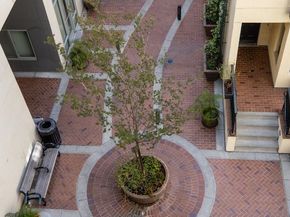 25 S 3rd Street 311, San Jose CA 95113