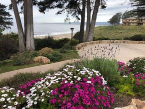 Undisclosed Address #ML82046202, Aptos CA 95003