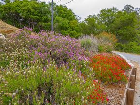 353 Allan Lane, Corralitos CA 95076